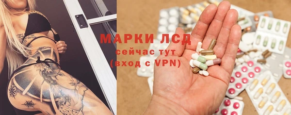 ГАЛЛЮЦИНОГЕННЫЕ ГРИБЫ Алзамай