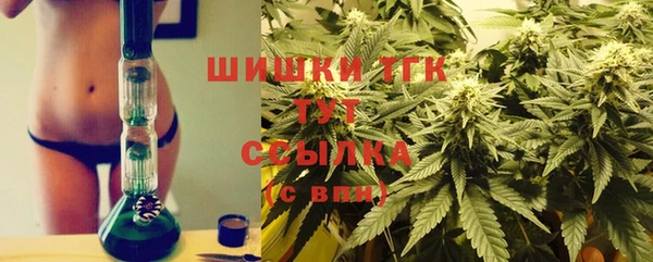ГАЛЛЮЦИНОГЕННЫЕ ГРИБЫ Алзамай